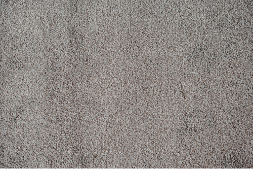 Cut Pile Carpet 2